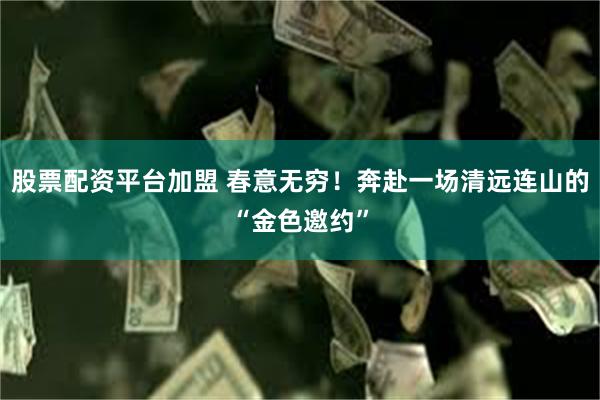 股票配资平台加盟 春意无穷！奔赴一场清远连山的“金色邀约”
