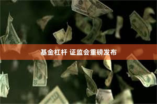 基金杠杆 证监会重磅发布