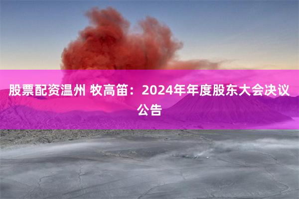 股票配资温州 牧高笛：2024年年度股东大会决议公告