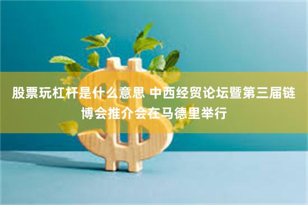 股票玩杠杆是什么意思 中西经贸论坛暨第三届链博会推介会在马德里举行